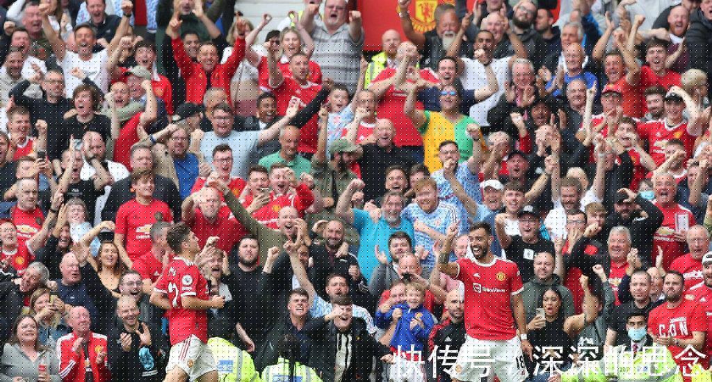 经验丰富的 经验丰富的