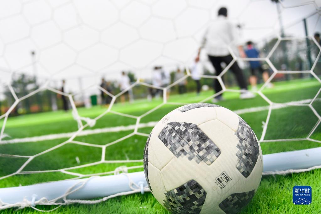 关于里奥 关于里奥